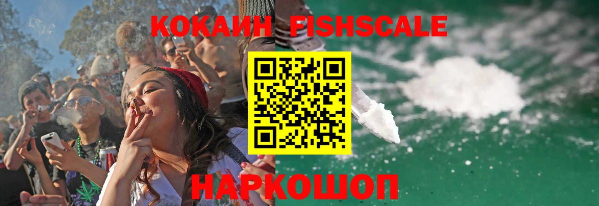 COCAIN Fish Scale  Вход с VPN  Георгиевск 
