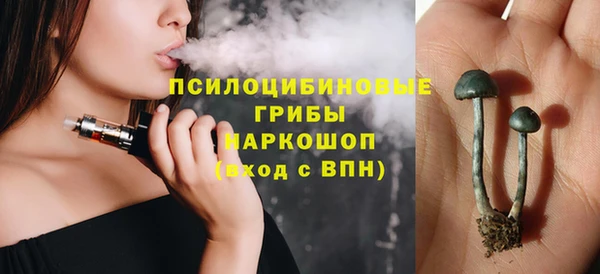 мет Арсеньев