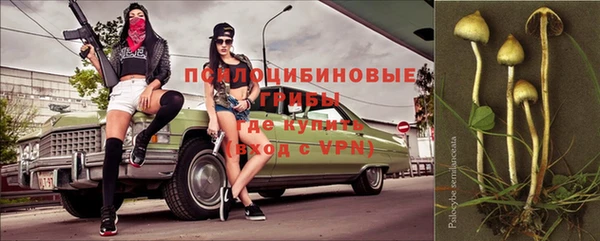 ALPHA PVP Аркадак