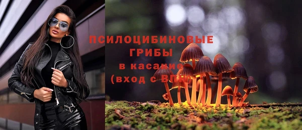 мет Арсеньев