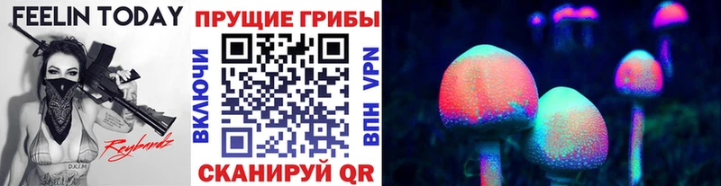 кракен ССЫЛКА как найти Георгиевск Галлюциногенные грибы Magic Shrooms