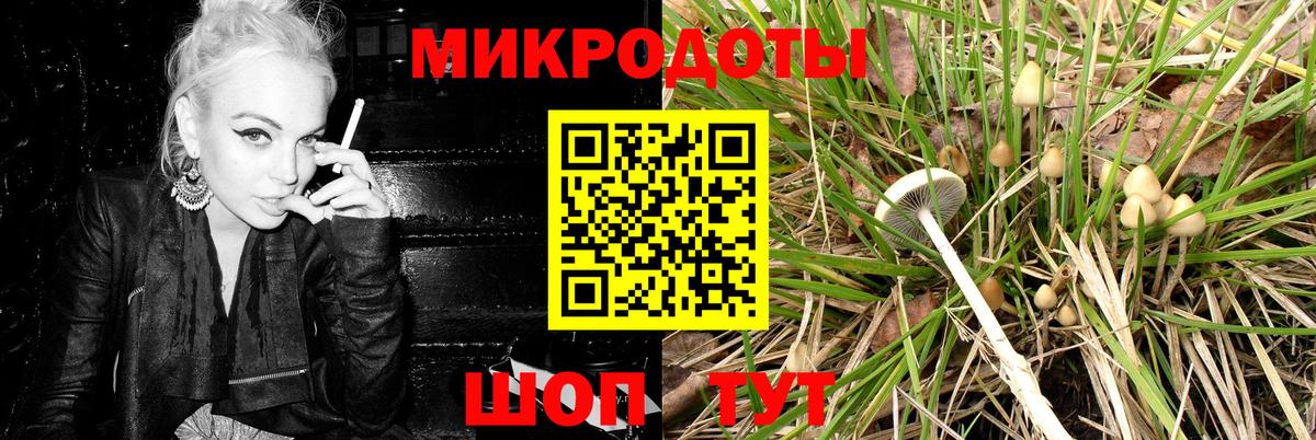 купить наркоту  Вход с VPN  Георгиевск  Псилоцибиновые грибы MAGIC MUSHROOMS 
